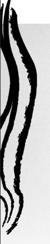 Spazio Nu